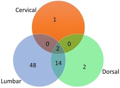 Clinical presentation and imaging findings in juvenile-onset back pain: a ten-year hospital-based retrospective analysis in Douala (Cameroon)